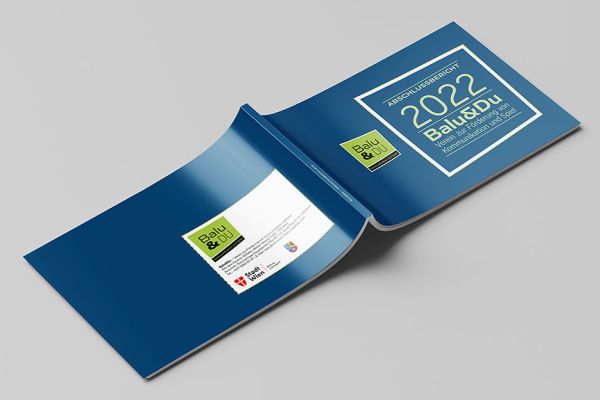 Umschlag des Abschlussberichts 2022 von Balu&Du